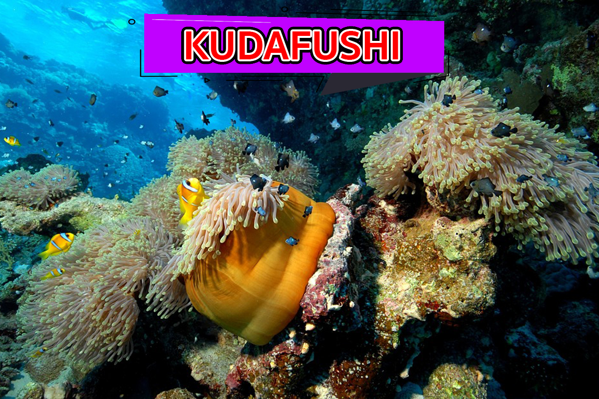 Kudafushi รีสอร์ทมัลดีฟส์ รีสอร์ทที่มีจุดดำน้ำที่น่าสนใจ