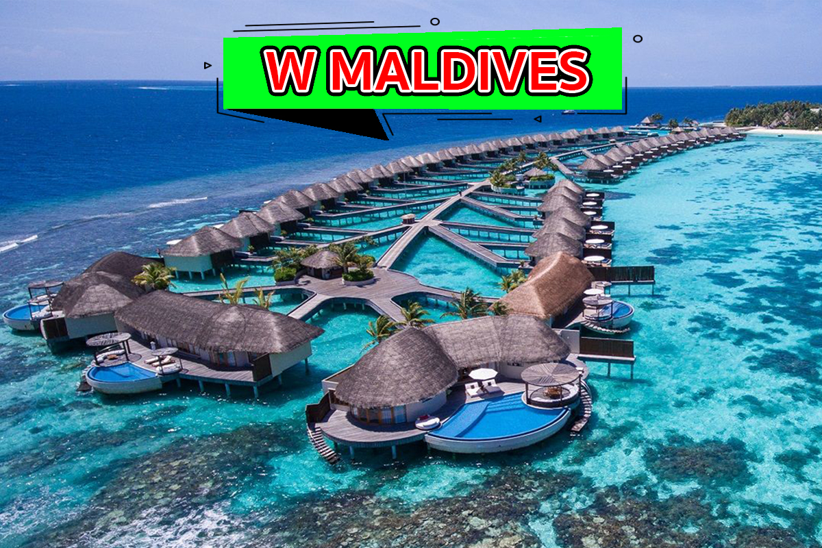 W Maldives รีสอร์ทยอดฮิต รีสอร์ทมัลดีฟส์ รีสอร์ทที่คนนิยมเที่ยว